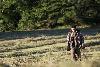 ... domaine o� Jo�l est �galement roi ...