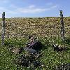 Exercice p�rilleux sous les barbel�s ... r�ussi