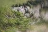 3_ ... paysage en spirale