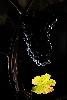 3_Raisin rouge (un flash, exposition multiple) ...