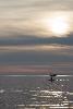 06_ ... s�r�nit� ...