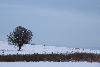 2_ ... dans la campagne vaudoise ...