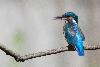 Photos