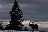 4_ ... les deux r�unis dans le soir tombant.