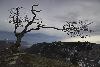 6_ ... une silhouette souvent immortalis�e !