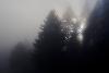 1_Parfois, la lumi�re peine � venir jusqu'en plaine ...