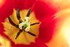 03_ ... bat ... malgr� tout ... son plein !