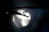 12_ ... � contre-jour ...