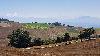 01_ Au loin, le Mont-Blanc