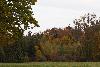 04_Les arbres ...