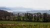 15_ Dans l'arri�re pays ...