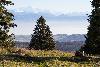 21_ ... et sur le Mont-Blanc