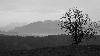 2_Lumi�re hivernale ...