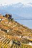 12_ ... les pentes de Lavaux ...