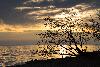 1_Au bord du L�man ...