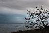 Ma qu�te des ambiances ...