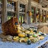 ... g�n�reux automne ...