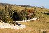 ... les murs de pierres s�ches rythment le paysage