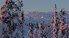 ... les pistes de Levi, culminant � 530 m,  sont toujours �clair�es ...