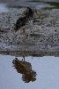 ... un vieux r�ve enfin r�alis� ...