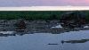 Pr�s de la baie de Liminka ...