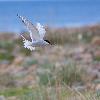 ... rassur�e par mon �loignement ...