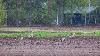 ... la pluie est l� ...