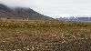 Adventdalen, la vall�e qui part de Longyearbyen ...