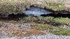 ... l'�rosion ayant retir� des s�diments, on aper�oit le perg�lisol ...