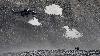 ... attendre d'�tre h�liport� jusqu'� Longyearbyen...