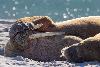 Photos