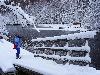 ... la magie d'un No�l blanc ...