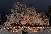 ... se parent de lumi�re ...