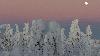 ... d�but janvier ...