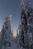 ... appel�s tykky (prononc� tuku) en finlandais ...