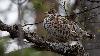 A Konttainen, un r�ve se r�alise : ma premi�re photo ...