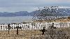 A Nesseby, tant le s�choir � harengs que le cimeti�re semblent � l'abandon