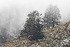 ... le brouillard cache les sommets ...