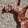 ... d�core le mur de l'�glise : est-ce le m�me sculpteur ?