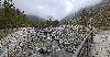 ... belle balade dans le fond de la vall�e ...
