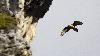 Au Hohe Br�cke ...