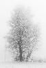 01_ Balade hivernale ...