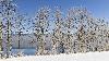 09_ ... des beaut�s ...