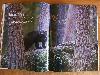  ... double page en d�but d'article : un vrai bonheur !