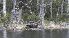 ... � la recherche des si rares phoques d'eau douce ...