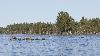 ... nous en verrons sept diff�rents en deux jours ...