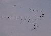 La nuit est proche, les derni�res se h�tent ...