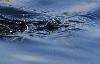 Gr�be castagneux � la p�che ... sous-marine