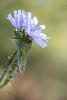 1_Essais de macro sur des sujets banals ...