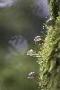 11_ ... appareil dirig� vers le ciel !